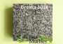 CremaJulia