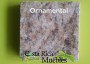 Ornamental