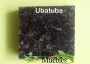 Ubatuba7
